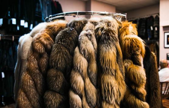 A fur fit for The Queen of Soul